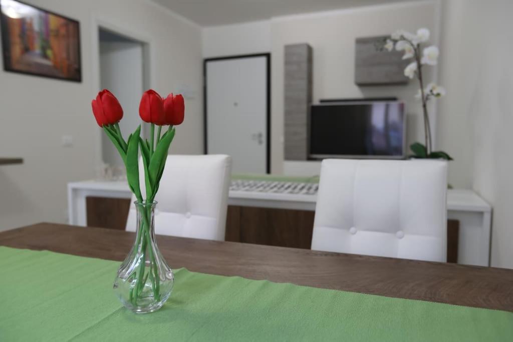 Casa Magenta Apartment 2 Валеджо-суль-Мінчо Екстер'єр фото